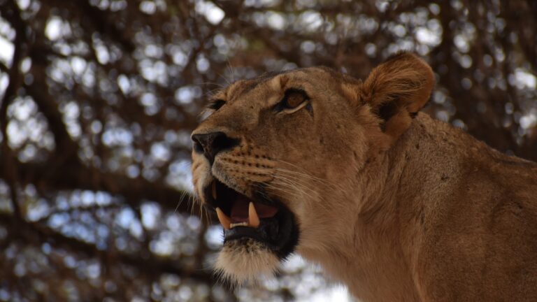 DSC_0748 (Custom) (1)