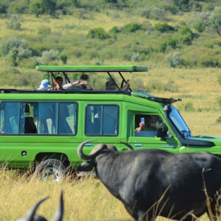 IMG_20250731_131529_213 Custom 1