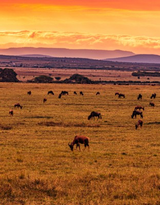 kenya landscapes magical sunset sunrise dramatic c 2024 10 18 15 52 55 utc Custom 2