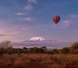 amboseli national park with view of the snow summi 2025 01 29 05 53 00 utc Custom