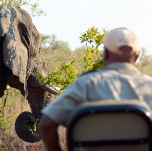 on safari 2025 04 06 09 25 01 utc Custom