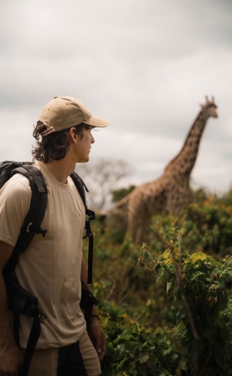 tourist walking and observing giraffe in arusha na 2025 07 17 21 50 46 utc Custom